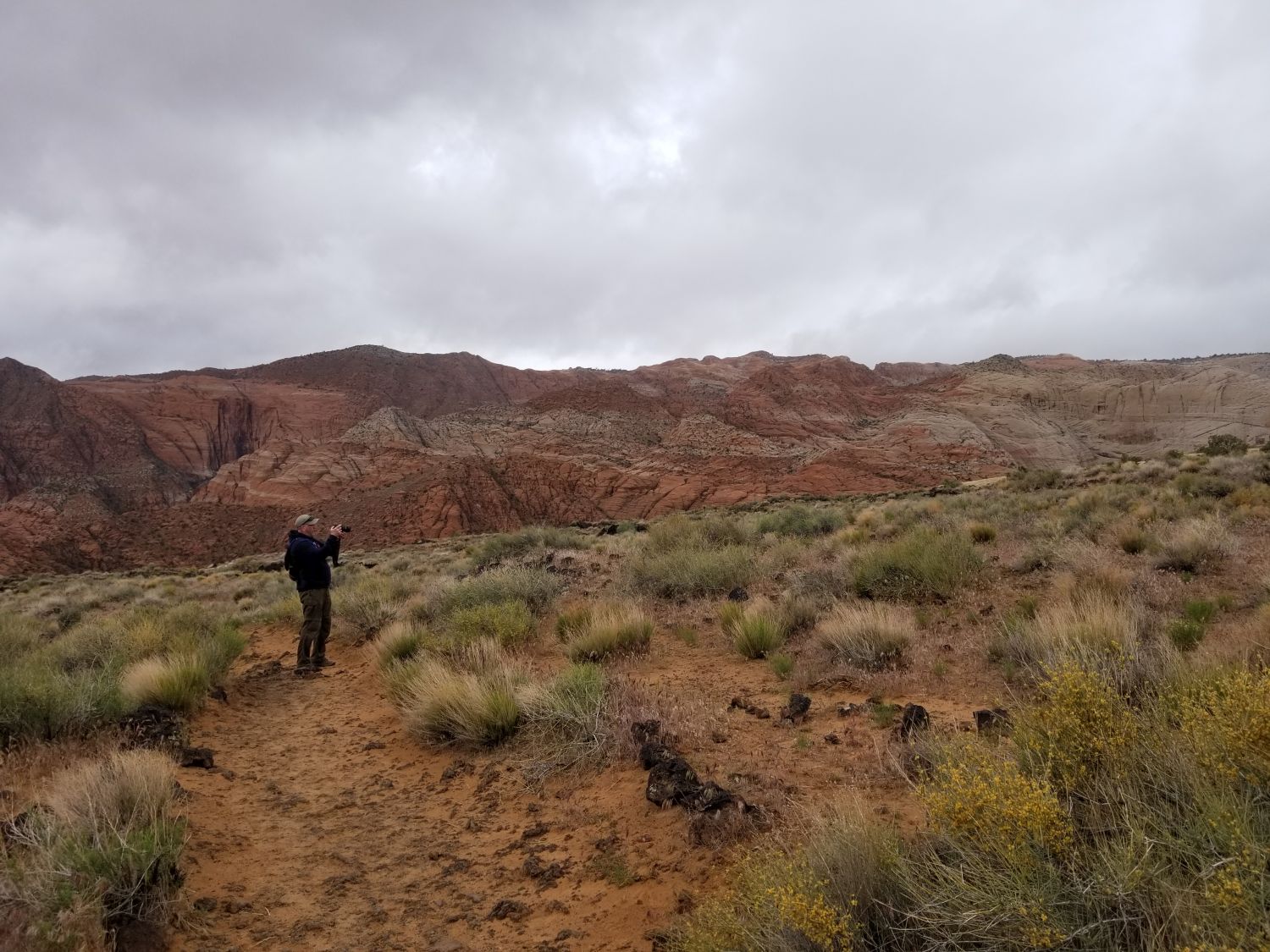 Snow Canyon State Park 